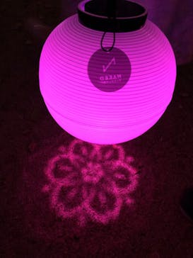 NAKED 桜の新宿御苑 2023に投稿された画像（2023/4/1）