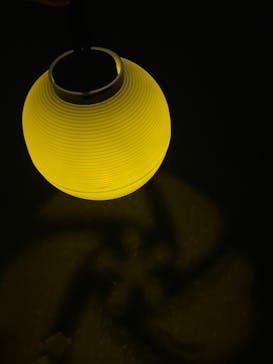 NAKED 桜の新宿御苑 2023に投稿された画像（2023/4/1）