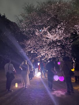 NAKED 桜の新宿御苑 2023に投稿された画像（2023/4/1）