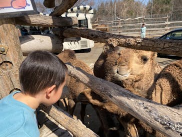 群馬サファリパークに投稿された画像（2023/4/1）