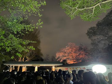 NAKED 桜の新宿御苑 2023に投稿された画像（2023/4/1）