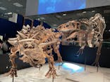 特別展「恐竜博2023」に投稿された画像（2023/4/1）
