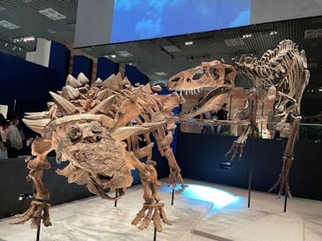 特別展「恐竜博2023」に投稿された画像（2023/4/1）
