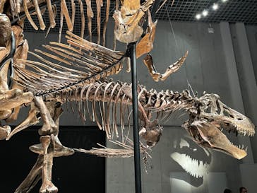 特別展「恐竜博2023」に投稿された画像（2023/4/1）