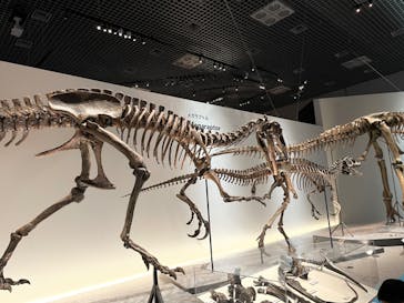 特別展「恐竜博2023」に投稿された画像（2023/4/1）
