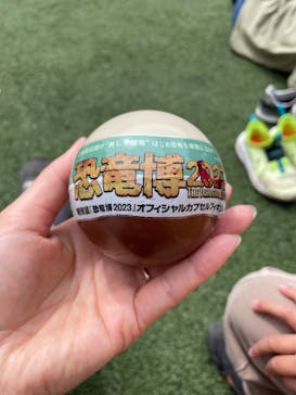 特別展「恐竜博2023」に投稿された画像（2023/4/1）