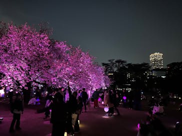 NAKED 桜の新宿御苑 2023に投稿された画像（2023/4/1）