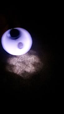 NAKED 桜の新宿御苑 2023に投稿された画像（2023/4/1）