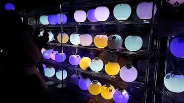 NAKED 桜の新宿御苑 2023に投稿された画像（2023/4/1）