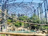 天王寺動物園に投稿された画像（2023/4/1）