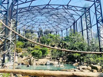 天王寺動物園に投稿された画像（2023/4/1）