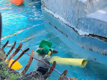 天王寺動物園に投稿された画像（2023/4/1）