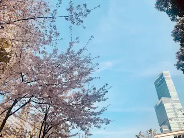 天王寺動物園に投稿された画像（2023/4/1）