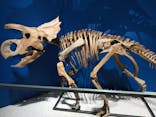 特別展「恐竜博2023」に投稿された画像（2023/4/1）