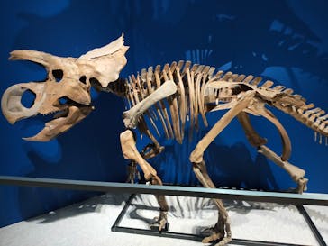 特別展「恐竜博2023」に投稿された画像（2023/4/1）