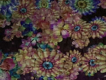 『NAKED FLOWERS 2023 桜 世界遺産・二条城』に投稿された画像（2023/4/1）