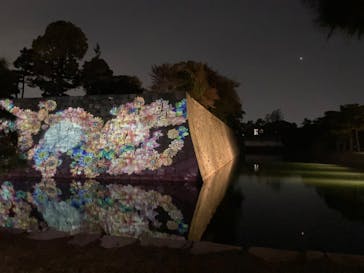 『NAKED FLOWERS 2023 桜 世界遺産・二条城』に投稿された画像（2023/4/1）