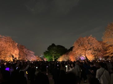 NAKED 桜の新宿御苑 2023に投稿された画像（2023/4/1）