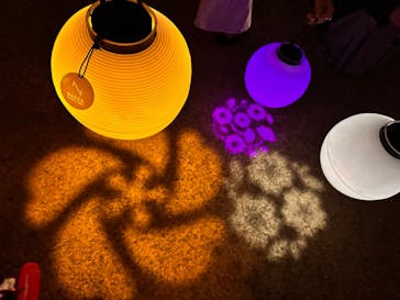 NAKED 桜の新宿御苑 2023に投稿された画像（2023/4/1）