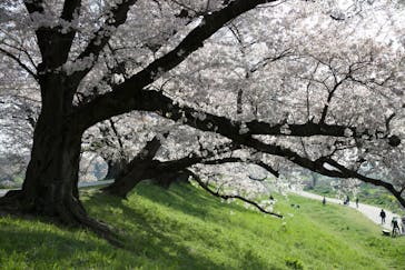 京阪電車に投稿された画像（2023/4/1）