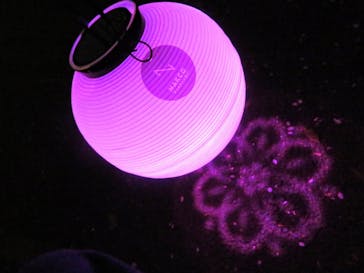 NAKED 桜の新宿御苑 2023に投稿された画像（2023/4/1）