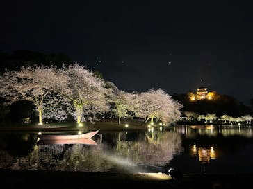 三溪園に投稿された画像（2023/4/1）