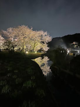 三溪園に投稿された画像（2023/4/1）