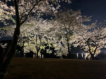 三溪園に投稿された画像（2023/4/1）