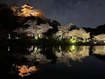 三溪園に投稿された画像（2023/4/1）