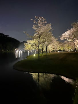 三溪園に投稿された画像（2023/4/1）