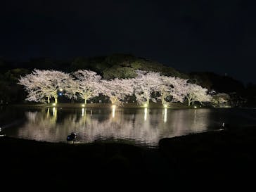 三溪園に投稿された画像（2023/4/1）