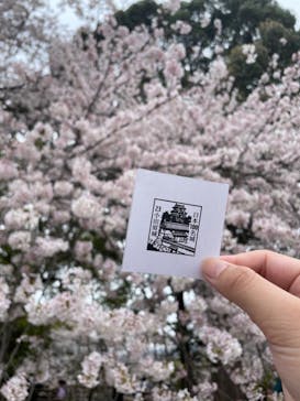 小田原城に投稿された画像（2023/4/1）