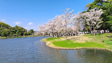 三溪園に投稿された画像（2023/4/1）