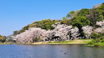 三溪園に投稿された画像（2023/4/1）