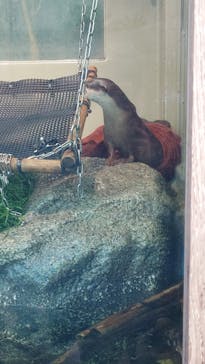 サンシャイン水族館に投稿された画像（2023/4/1）