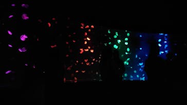 サンシャイン水族館に投稿された画像（2023/4/1）