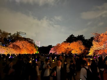 NAKED 桜の新宿御苑 2023に投稿された画像（2023/4/1）