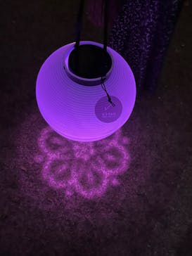 NAKED 桜の新宿御苑 2023に投稿された画像（2023/4/1）