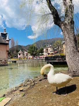 河口湖 音楽と森の美術館に投稿された画像（2023/4/1）