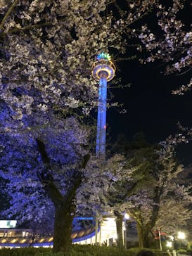 西武園ゆうえんちに投稿された画像（2023/4/1）