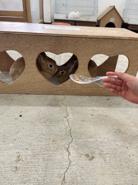 成田ゆめ牧場に投稿された画像（2023/4/1）