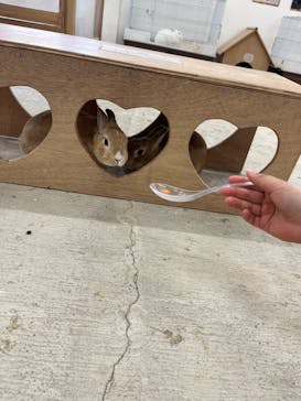 成田ゆめ牧場に投稿された画像（2023/4/1）