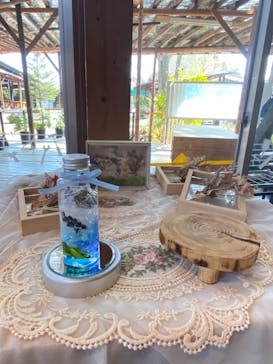 モビリティリゾートもてぎに投稿された画像（2023/4/1）