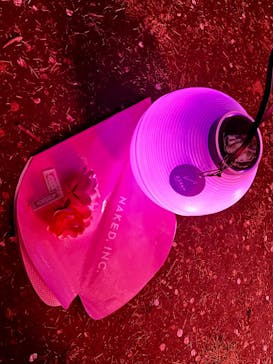 NAKED 桜の新宿御苑 2023に投稿された画像（2023/4/1）