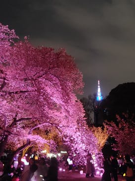 NAKED 桜の新宿御苑 2023に投稿された画像（2023/4/1）