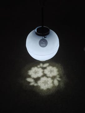 NAKED 桜の新宿御苑 2023に投稿された画像（2023/4/1）