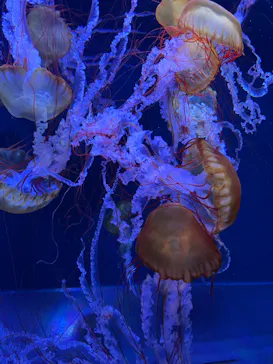 すみだ水族館に投稿された画像（2023/4/1）