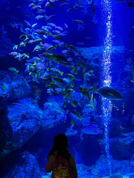 すみだ水族館に投稿された画像（2023/4/1）