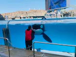 名古屋港水族館に投稿された画像（2023/4/2）