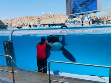 名古屋港水族館に投稿された画像（2023/4/2）